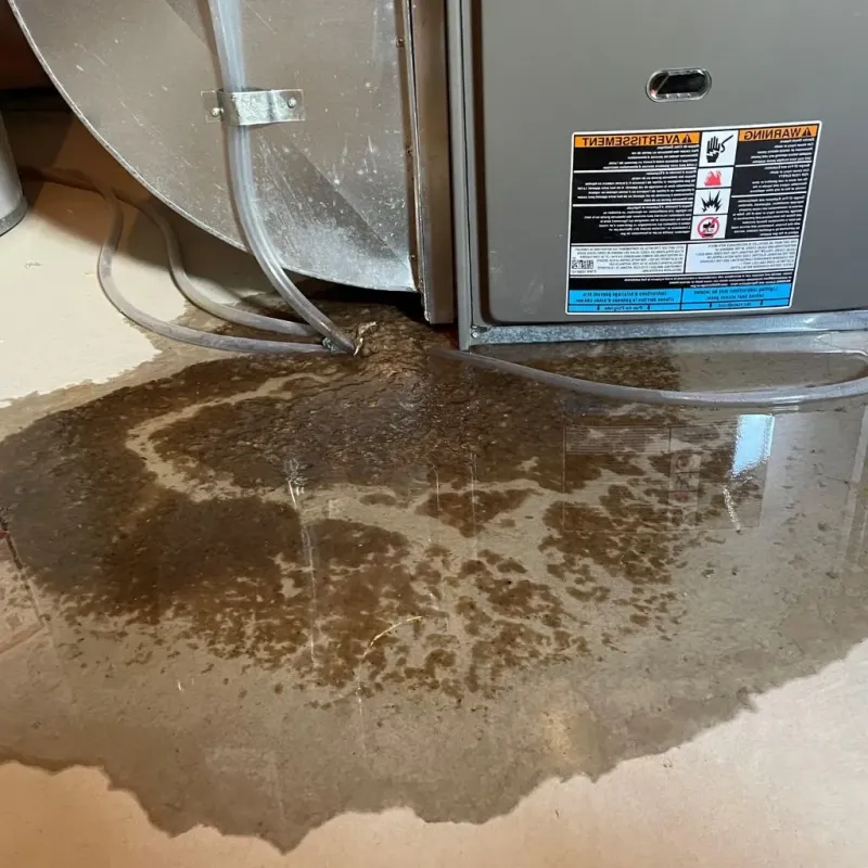 Pipe Burst and Leak Restoration in Pine City, MN